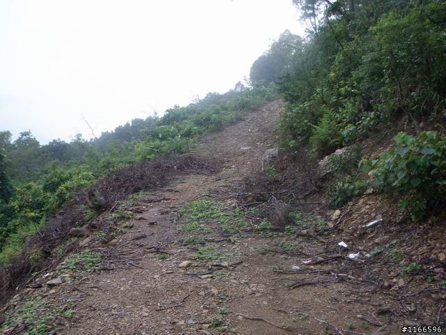 路線請益--三地門德文，轉"觀望山"路線