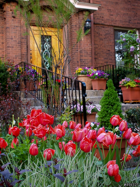 E1 PL25mm 芝加哥五月鄰居花園隨拍