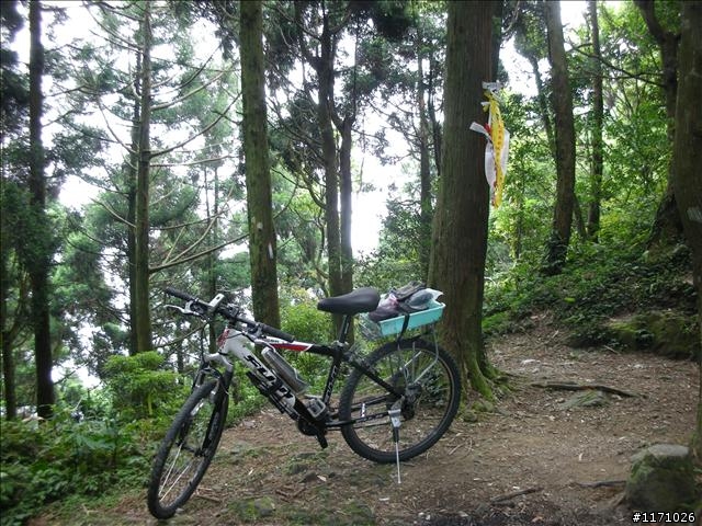 熊空越嶺紅河谷