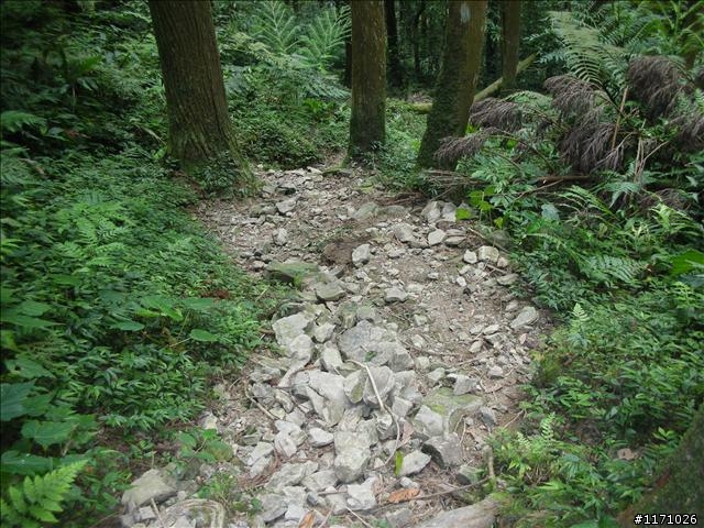 熊空越嶺紅河谷