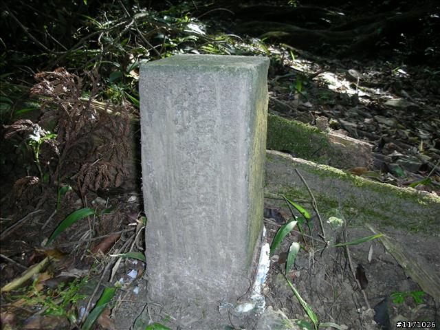 熊空越嶺紅河谷