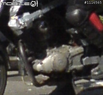 3隻小陽  新車間諜照