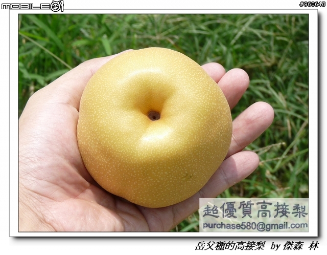 開包文_用心呵護的高接梨
