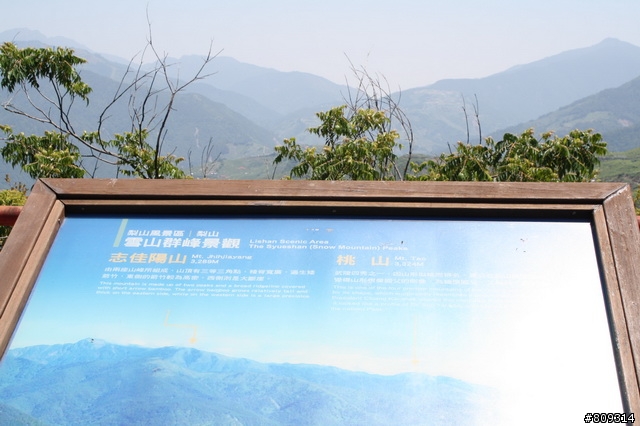 我愛彎道之鳥族花蓮會師