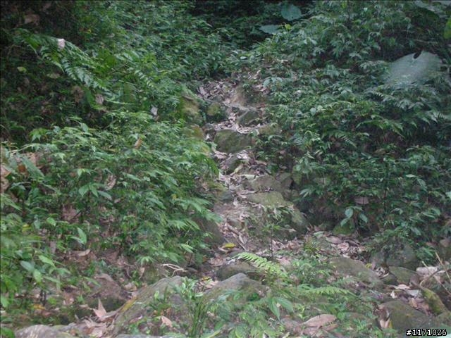 熊空越嶺紅河谷