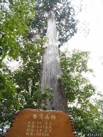 新竹五峰鄉一日遊--觀霧、雪霸休閒農場、清泉