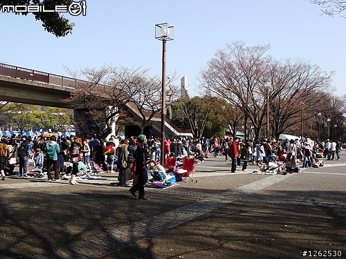 [分享]不可不去的跳蚤市場~東京代代木公園!!