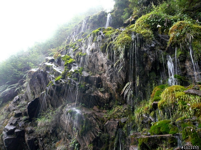 南橫埡口一日遊