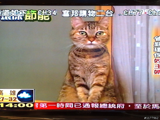 集品9342 9347 7142 7147 新登場(內含9142的評測及"解剖"及感想)～歡迎集品人來這兒報到囉～