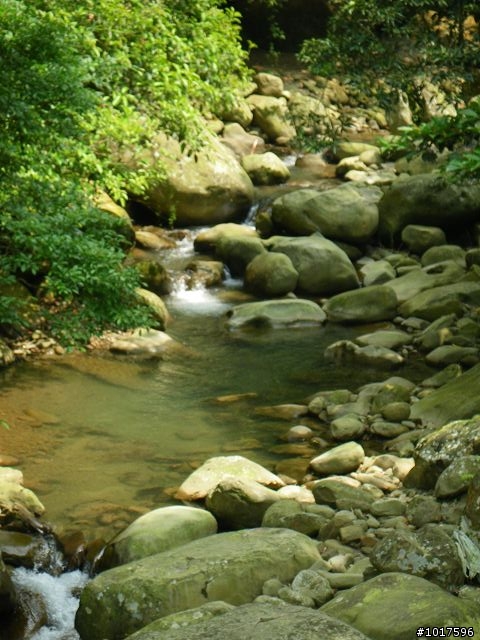 [路線分享] 0503石門水庫-內灣-宇老-石門水庫(非大滿貫)