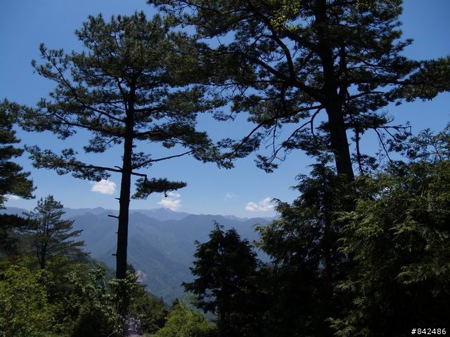 新竹五峰鄉一日遊--觀霧、雪霸休閒農場、清泉