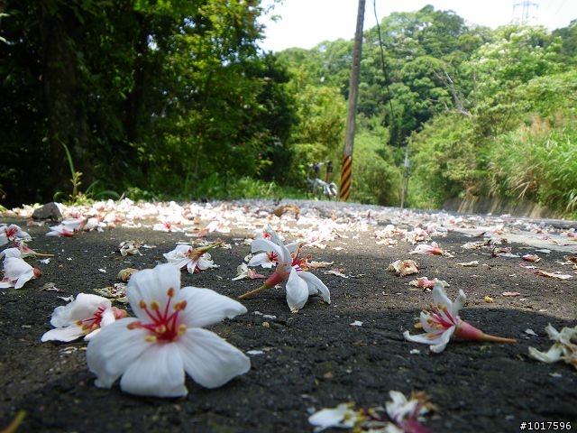 [路線分享] 0503石門水庫-內灣-宇老-石門水庫(非大滿貫)