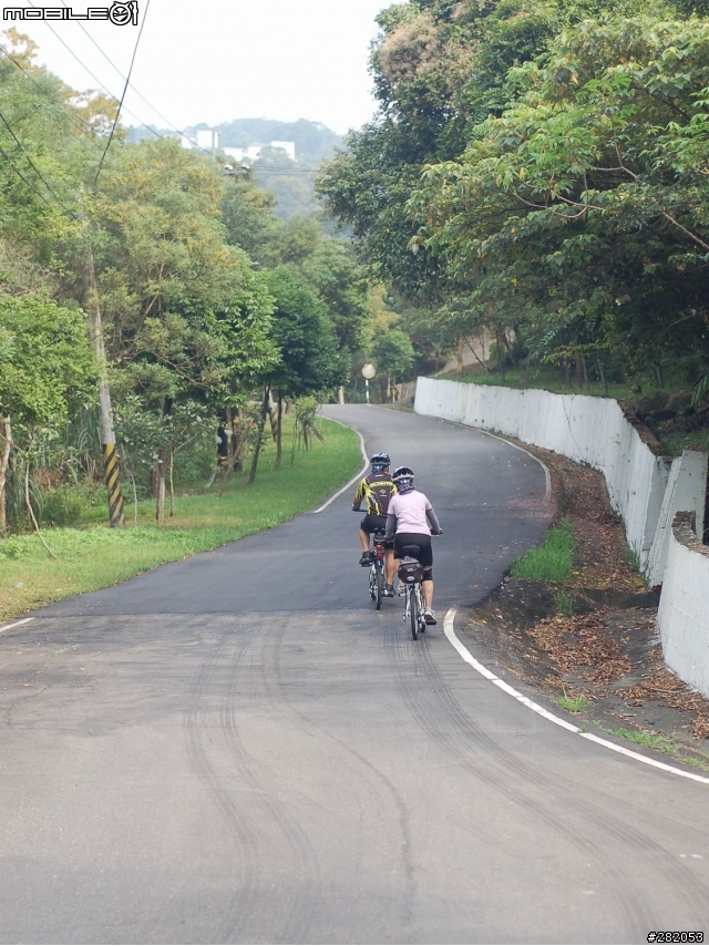 八連路上五指山...新發現 求 鳥名...感恩