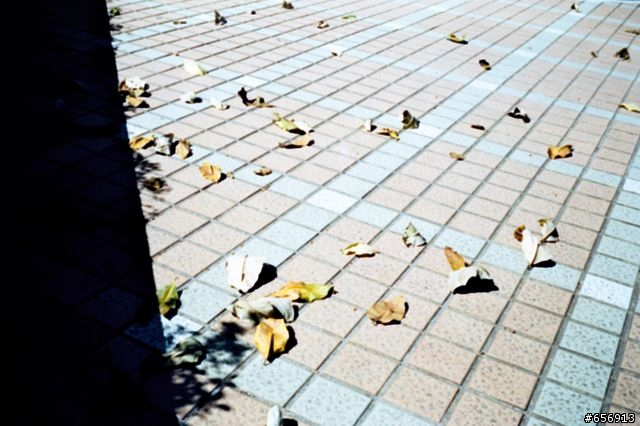 二手LEICA Minilux有些問題請教