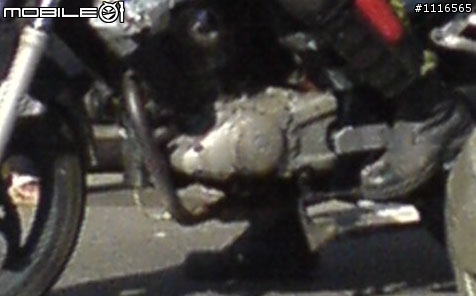 3隻小陽  新車間諜照