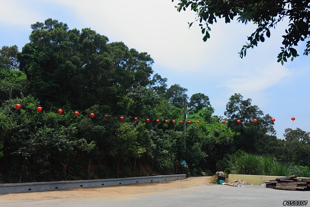 彰化市：桃源里森林步道（順撿坑子內山圖根點）