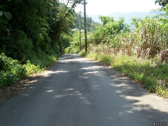 2009/5/12 三元宮上顯伯宮+鹿寮坑~關西 小越嶺 + 自不量力之錦山~水田 越嶺