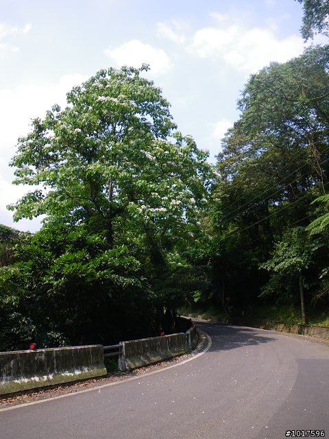 [路線分享] 0503石門水庫-內灣-宇老-石門水庫(非大滿貫)