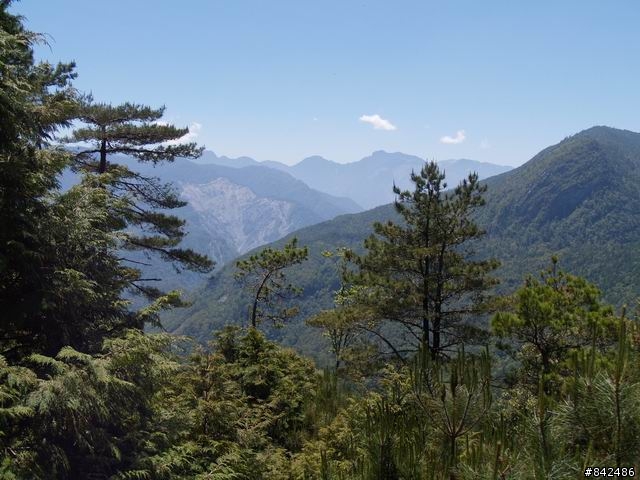 新竹五峰鄉一日遊--觀霧、雪霸休閒農場、清泉