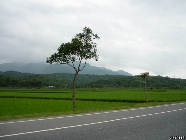 [分享]三天三夜，南部橫貫公路+藤枝國家森林遊樂區