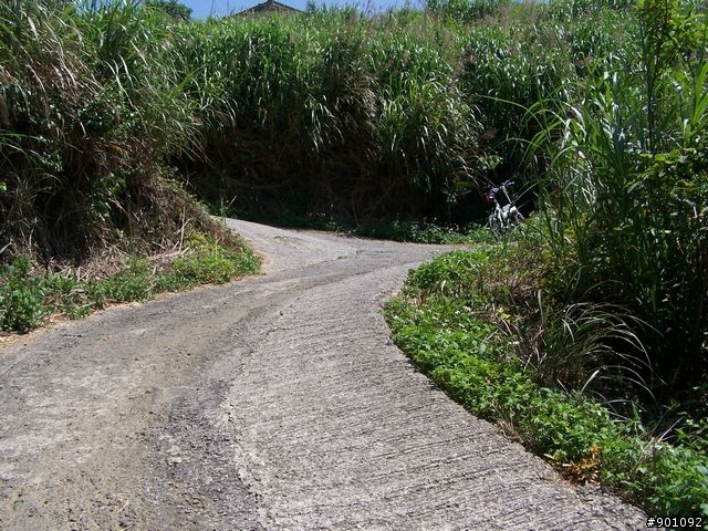 2009/5/12 三元宮上顯伯宮+鹿寮坑~關西 小越嶺 + 自不量力之錦山~水田 越嶺
