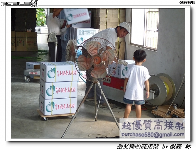 開包文_用心呵護的高接梨