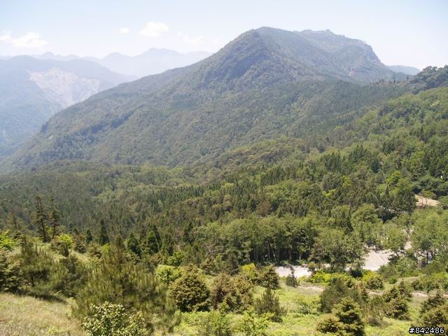 新竹五峰鄉一日遊--觀霧、雪霸休閒農場、清泉