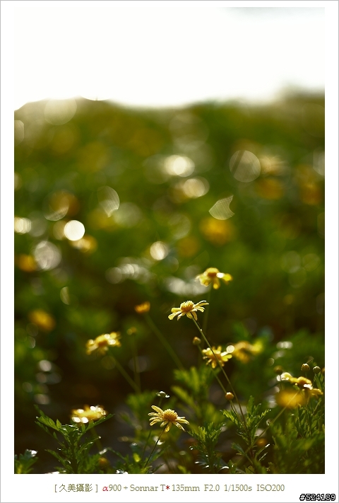 Alpha & Zeiss 眼中的蝶、湖、潭