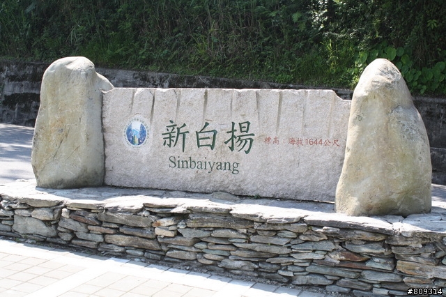 我愛彎道之鳥族花蓮會師