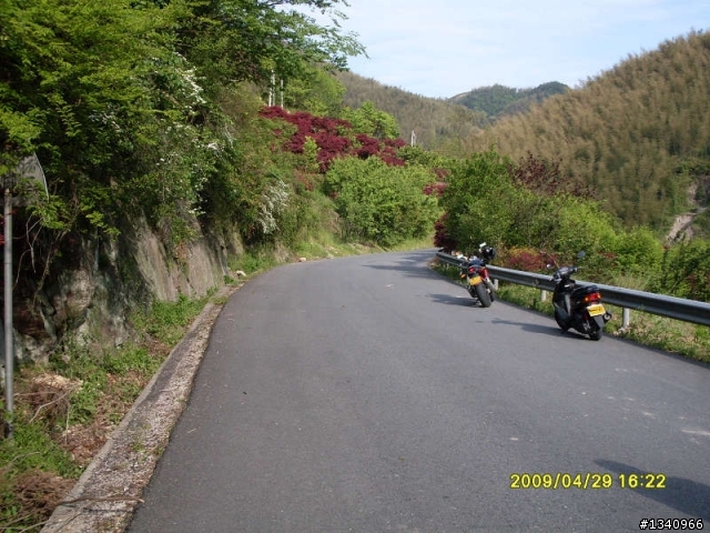 四明山4月的红枫
