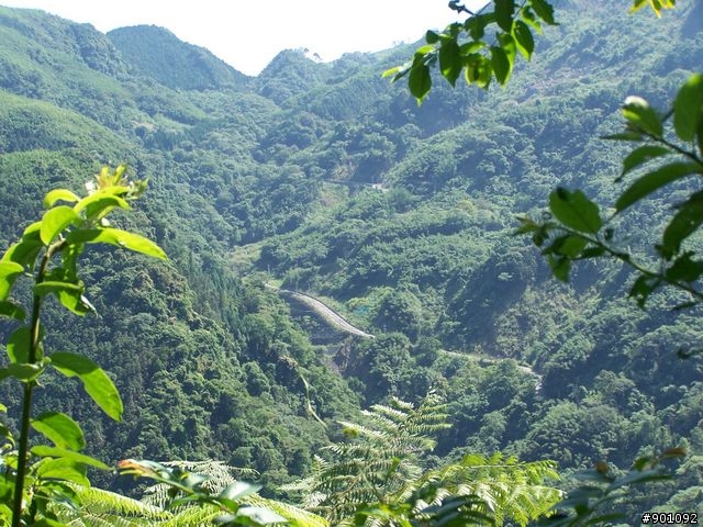 新竹縣五個山地部落 ( 和平~羅山~花園~天湖~梅花 ) 雙越嶺