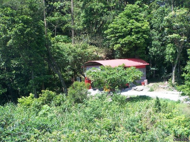 2009/5/12 三元宮上顯伯宮+鹿寮坑~關西 小越嶺 + 自不量力之錦山~水田 越嶺