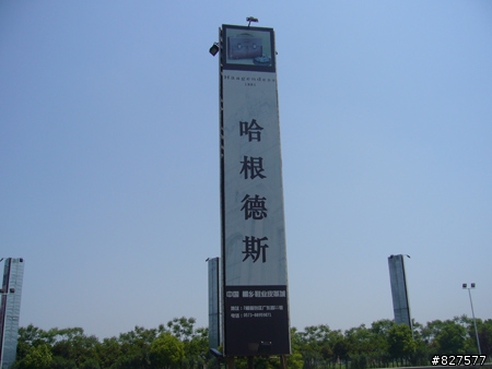 阿桐之杭州行...血淚篇