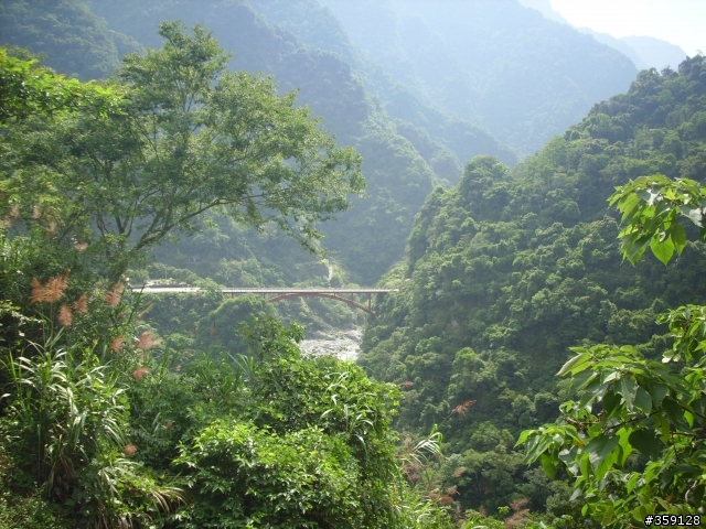 2009-05-17 [更新西段] 消失的台14東段 - 能高越嶺道 ---  終點 - 天長隧道?