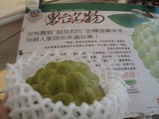 殘念車隊之三橫硬梆梆療傷系之旅