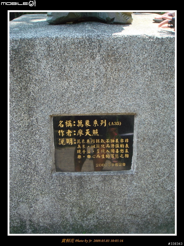[照片] 980503 三月瘋馬祖，五月賞桐花 (圖多)