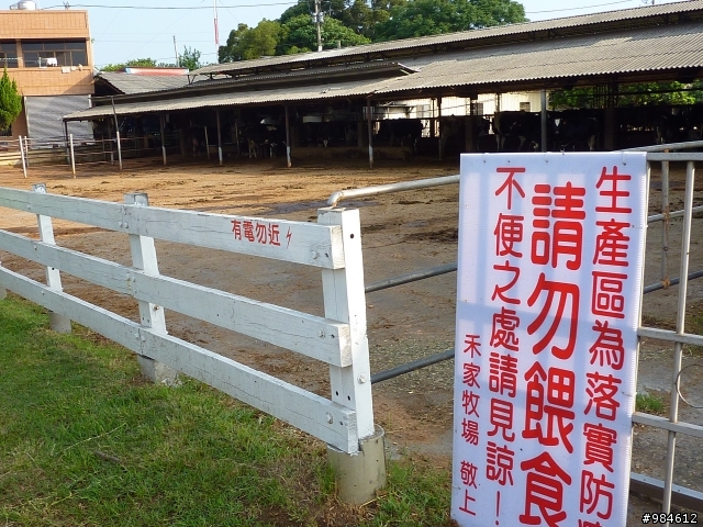 鹿港－彰化－集集－日月潭－埔里環騎166公里報告