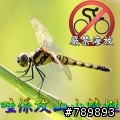 [遊記]大蝸牛的生日願望 - 鎮西堡