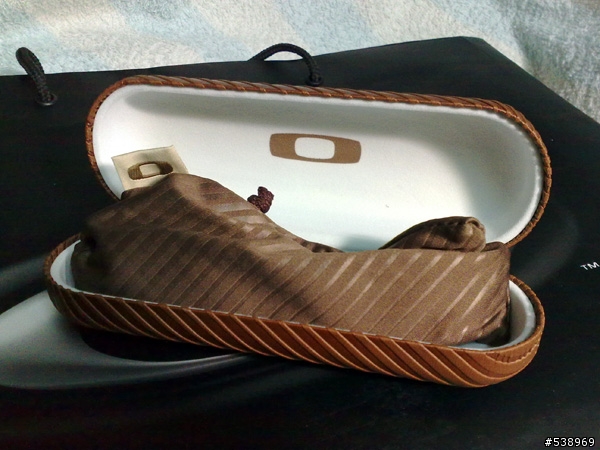 另一隻有型的Oakley DICTATE™ 4.0