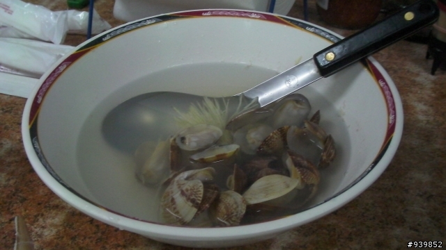 2009春末6天5夜菊島行~完~照片多喔