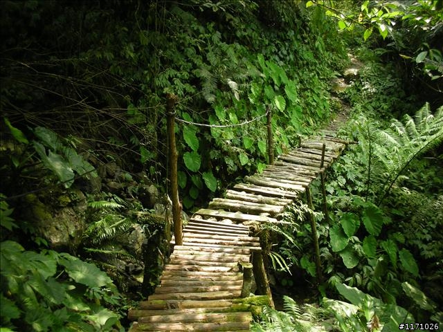 熊空越嶺紅河谷
