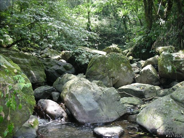 熊空越嶺紅河谷