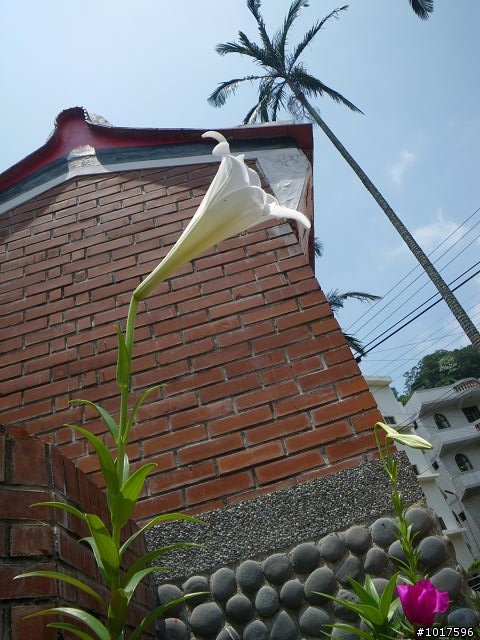 [路線分享] 0503石門水庫-內灣-宇老-石門水庫(非大滿貫)