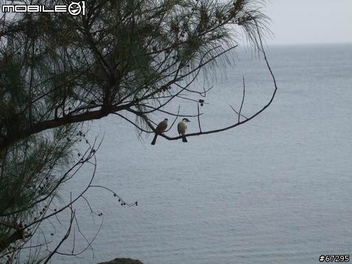 (環島)7天有5天都在下大雨之機車環島-0420~0426