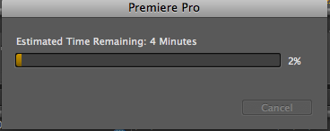 關於premiere CS4 問題