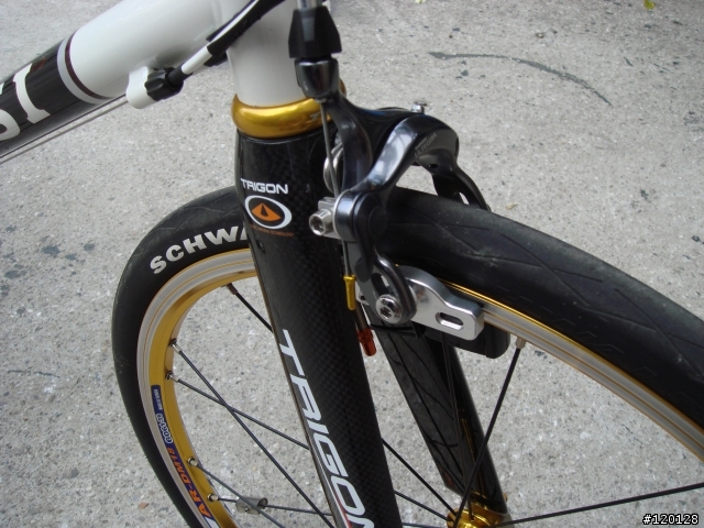 更新！又敗家囉！分享考慮1個多月才買的新車【MASI Mini Velo】