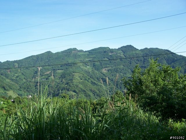 新竹縣五個山地部落 ( 和平~羅山~花園~天湖~梅花 ) 雙越嶺