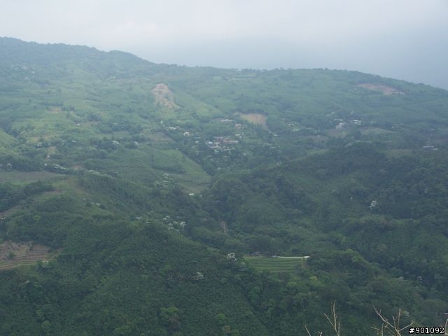 2009/5/12 三元宮上顯伯宮+鹿寮坑~關西 小越嶺 + 自不量力之錦山~水田 越嶺