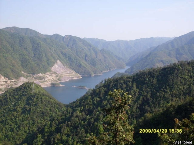 四明山4月的红枫