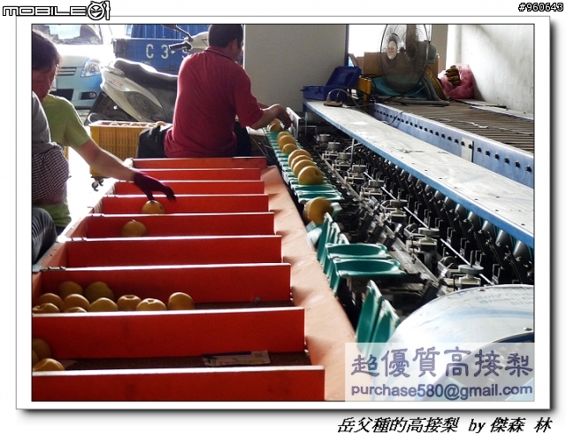 開包文_用心呵護的高接梨
